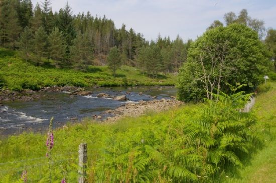 View from the Front Door of the Cottages
